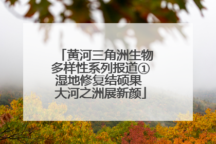 黄河三角洲生物多样性系列报道①湿地修复结硕果 大河之洲展新颜