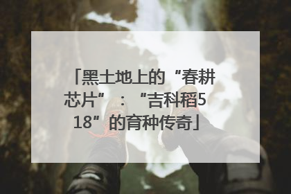 黑土地上的“春耕芯片”：“吉科稻518”的育种传奇