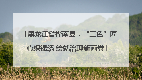 黑龙江省桦南县：“三色”匠心织锦绣 绘就治理新画卷