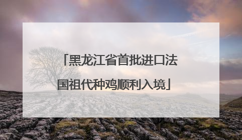 黑龙江省首批进口法国祖代种鸡顺利入境