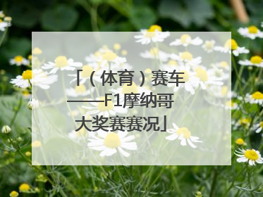 （体育）赛车——F1摩纳哥大奖赛赛况