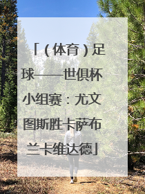 （体育）足球——世俱杯小组赛：尤文图斯胜卡萨布兰卡维达德