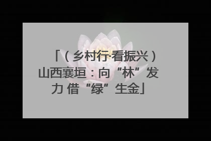 （乡村行·看振兴）山西襄垣：向“林”发力 借“绿”生金