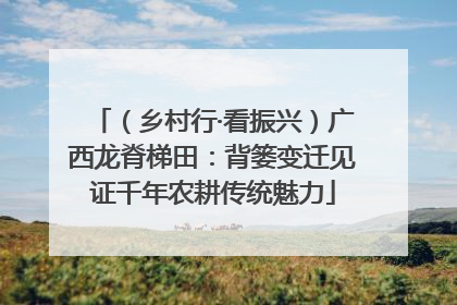 （乡村行·看振兴）广西龙脊梯田：背篓变迁见证千年农耕传统魅力