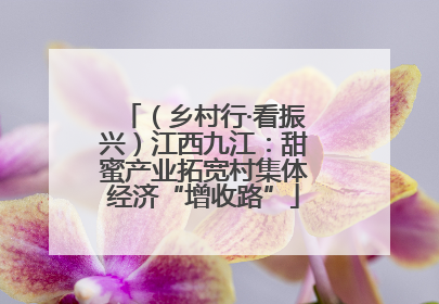 （乡村行·看振兴）江西九江：甜蜜产业拓宽村集体经济“增收路”