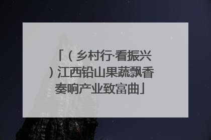 （乡村行·看振兴）江西铅山果蔬飘香 奏响产业致富曲