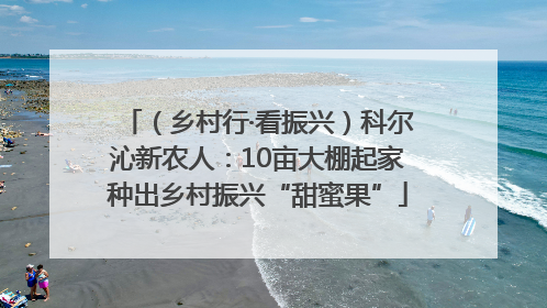 （乡村行·看振兴）科尔沁新农人：10亩大棚起家种出乡村振兴“甜蜜果”