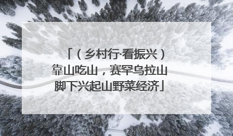 （乡村行·看振兴）靠山吃山，赛罕乌拉山脚下兴起山野菜经济