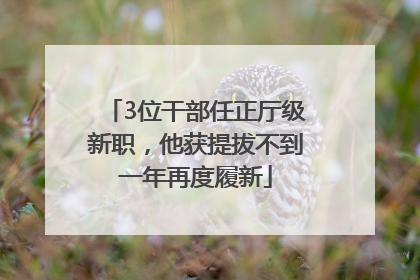 3位干部任正厅级新职，他获提拔不到一年再度履新