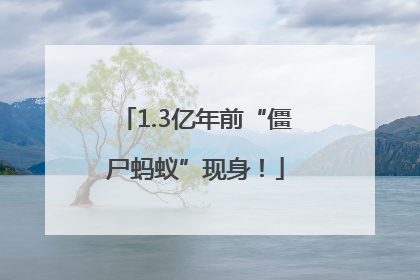 1.3亿年前“僵尸蚂蚁”现身！