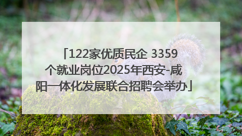 122家优质民企 3359个就业岗位2025年西安-咸阳一体化发展联合招聘会举办