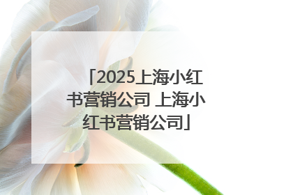2025上海小红书营销公司 上海小红书营销公司