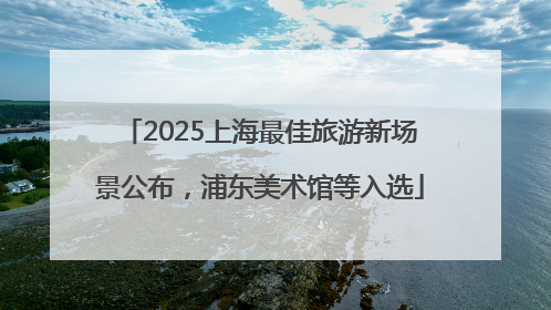 2025上海最佳旅游新场景公布，浦东美术馆等入选