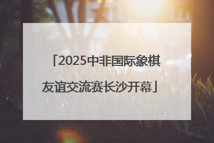 2025中非国际象棋友谊交流赛长沙开幕