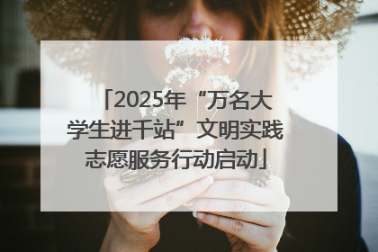 2025年“万名大学生进千站”文明实践志愿服务行动启动
