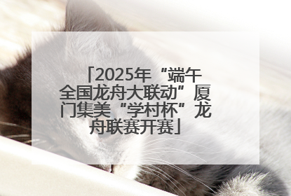 2025年“端午全国龙舟大联动”厦门集美“学村杯”龙舟联赛开赛