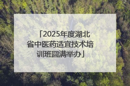 2025年度湖北省中医药适宜技术培训班圆满举办