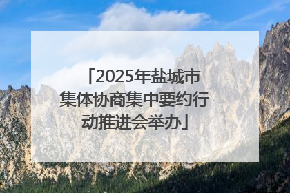 2025年盐城市集体协商集中要约行动推进会举办