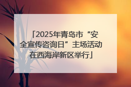 2025年青岛市“安全宣传咨询日”主场活动在西海岸新区举行