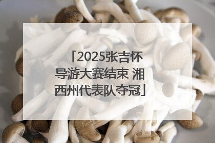 2025张吉怀导游大赛结束 湘西州代表队夺冠