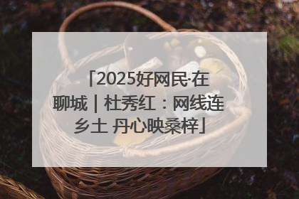2025好网民·在聊城｜杜秀红：网线连乡土 丹心映桑梓
