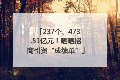 237个、473.51亿元！晒晒招商引资“成绩单”