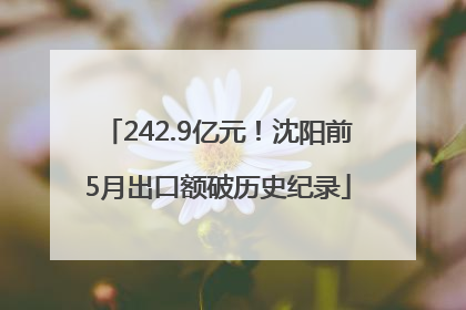 242.9亿元！沈阳前5月出口额破历史纪录