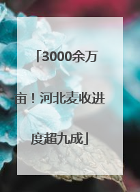 3000余万亩！河北麦收进度超九成