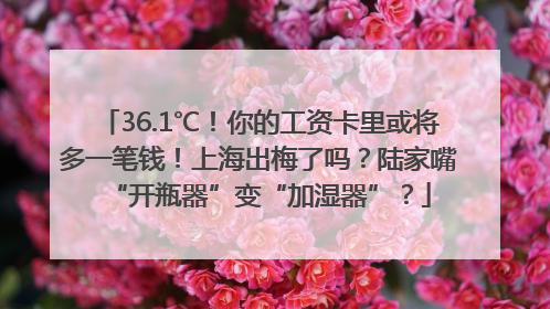 36.1℃！你的工资卡里或将多一笔钱！上海出梅了吗？陆家嘴“开瓶器”变“加湿器”？
