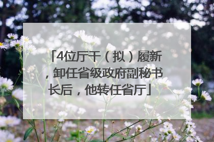 4位厅干（拟）履新，卸任省级政府副秘书长后，他转任省厅