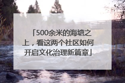 500余米的海塘之上，看这两个社区如何开启文化治理新篇章