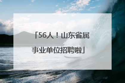 56人！山东省属事业单位招聘啦