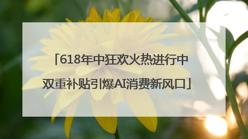 618年中狂欢火热进行中 双重补贴引爆AI消费新风口