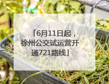 6月11日起，徐州公交试运营开通721路线
