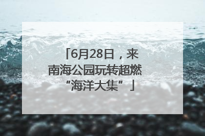6月28日，来南海公园玩转超燃 “海洋大集”