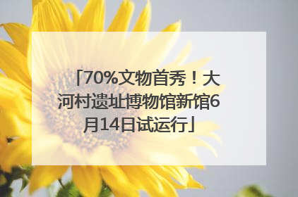 70%文物首秀！大河村遗址博物馆新馆6月14日试运行