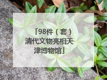 98件（套）清代文物亮相天津博物馆