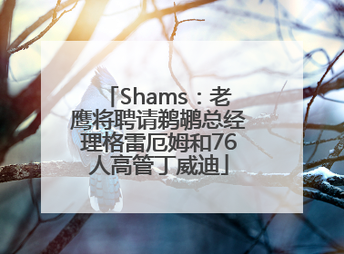 Shams：老鹰将聘请鹈鹕总经理格雷厄姆和76人高管丁威迪