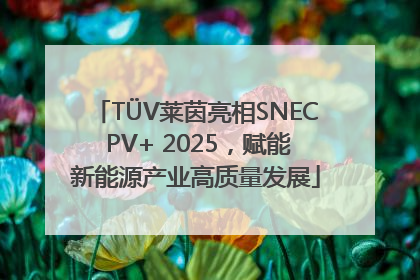 TÜV莱茵亮相SNEC PV+ 2025，赋能新能源产业高质量发展